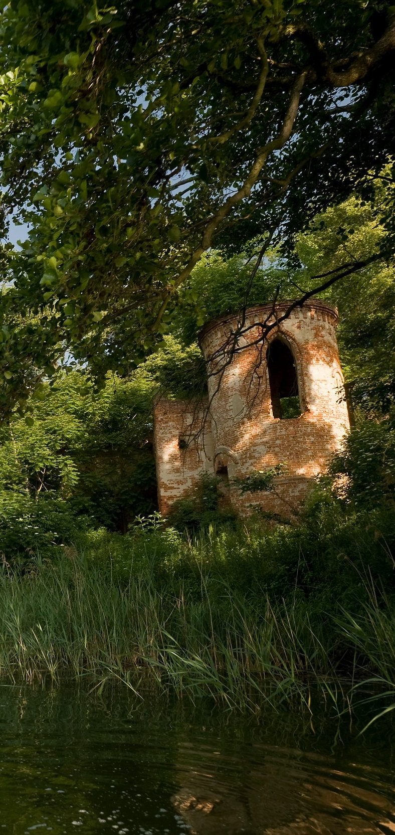 Galeria Wyspa Zamkowa na Jeziorze Góreckim, zdjędcie #8